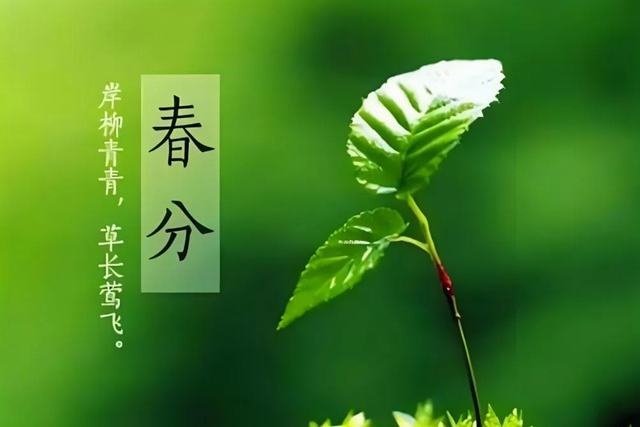 1711004058786763.jpg 图片21.jpg